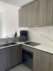 Leedon Green (D10), Condominium #473358191